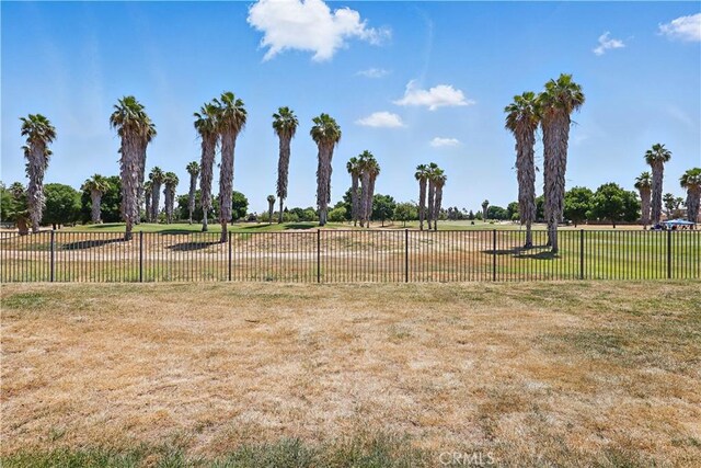 13045 Ridgewood Way, Chowchilla, CA 93610 - view of yard