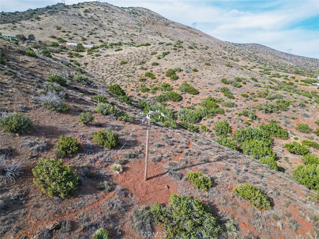 0 Dwightlee St, Acton, CA 93510
