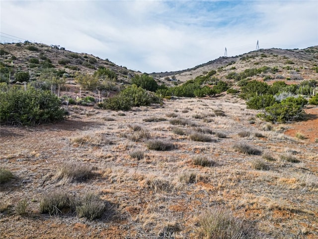 0 Dwightlee St, Acton, CA 93510