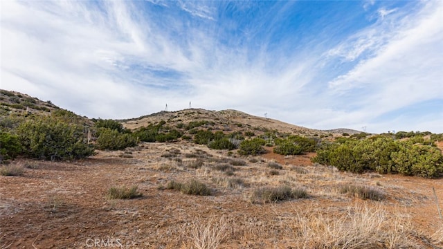 0 Dwightlee St, Acton, CA 93510