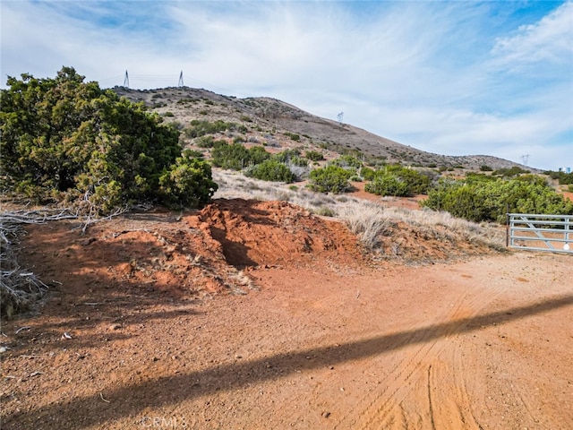 0 Dwightlee St, Acton, CA 93510