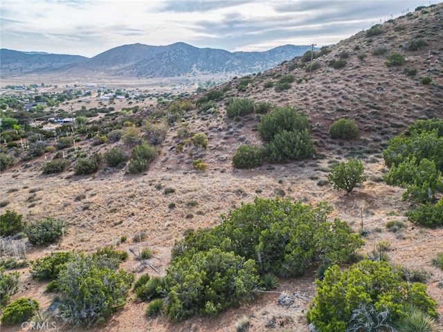 0 Dwightlee St, Acton, CA 93510