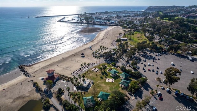 876 Doheny Way, Dana Point, CA 92629 - aerial view of property and surrounding area with expansive beach