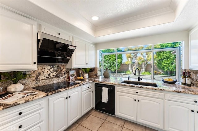 5291 Strasbourg Ave, Irvine, CA 92604 - kitchen with a sink, black appliances, a tray ceiling, tasteful backsplash, and ornamental molding