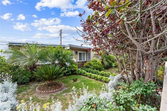 20402 Pioneer Blvd, Lakewood, CA 90715 - view of yard