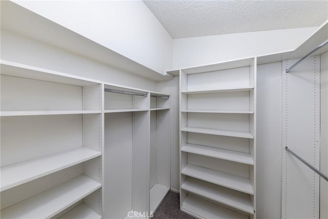 4231 Sage Ct, Palmdale, CA 93552 - walk in closet featuring carpet
