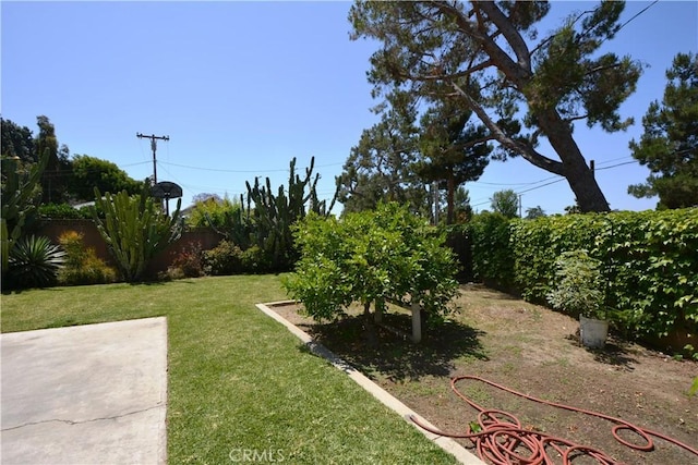 11514 Beverly Blvd, Whittier, CA 90601 - view of yard