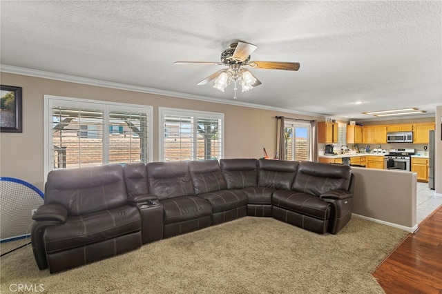 38701 Annette Ave, Palmdale, CA 93551 - living area featuring crown molding, a textured ceiling, light wood finished floors, and ceiling fan