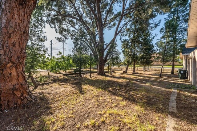 751 S Linden Ave, Bloomington, CA 92316 - photo 37