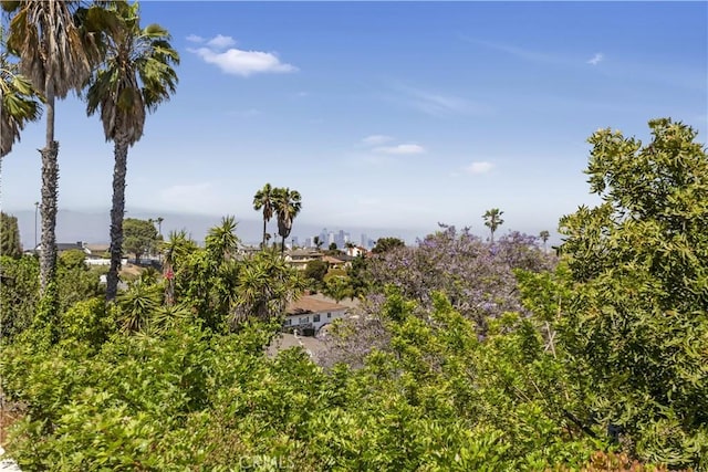 4508 Don Timoteo Dr, Los Angeles, CA 90008 - photo 2