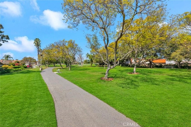 3595 Sego St, Irvine, CA 92606 - view of property's community with a yard