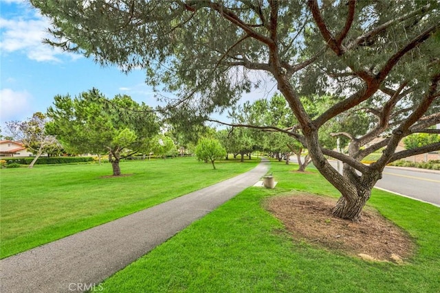3595 Sego St, Irvine, CA 92606 - surrounding community featuring a lawn