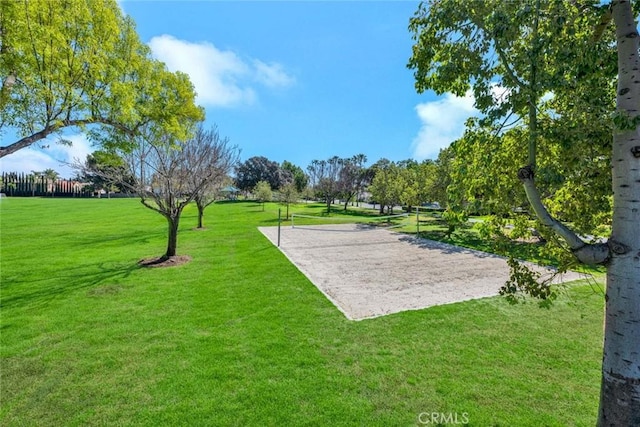 3595 Sego St, Irvine, CA 92606 - view of property's community with volleyball court and a lawn