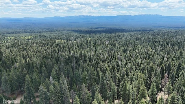 0 Fumarole Ct, Mccloud, CA 96057