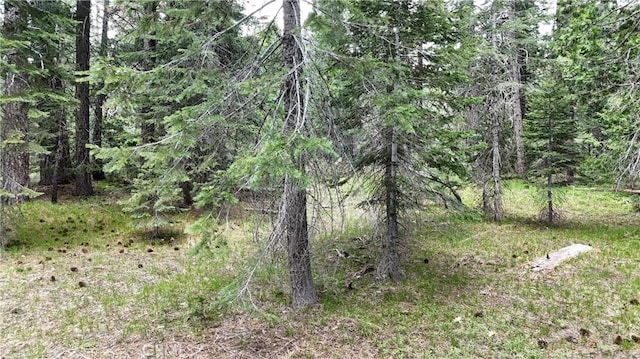 0 Fumarole Ct, Mccloud, CA 96057