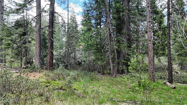 0 Fumarole Ct, Mccloud, CA 96057
