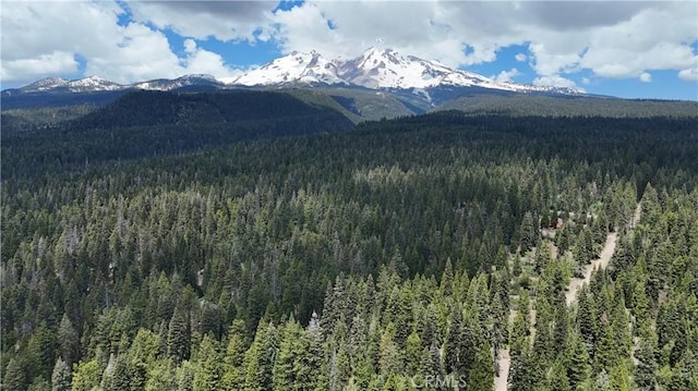 0 Fumarole Ct, Mccloud, CA 96057