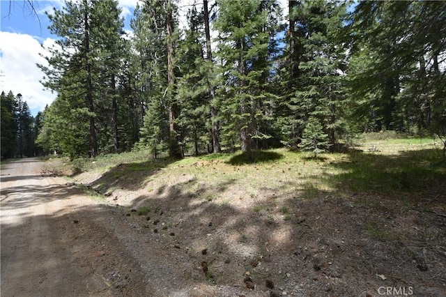 0 Fumarole Ct, Mccloud, CA 96057