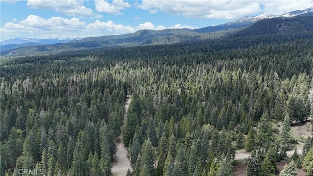 0 Fumarole Ct, Mccloud, CA 96057