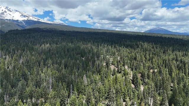 0 Fumarole Ct, Mccloud, CA 96057