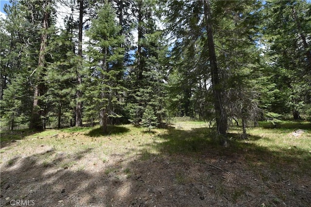 0 Fumarole Ct, Mccloud, CA 96057