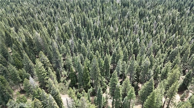 0 Fumarole Ct, Mccloud, CA 96057