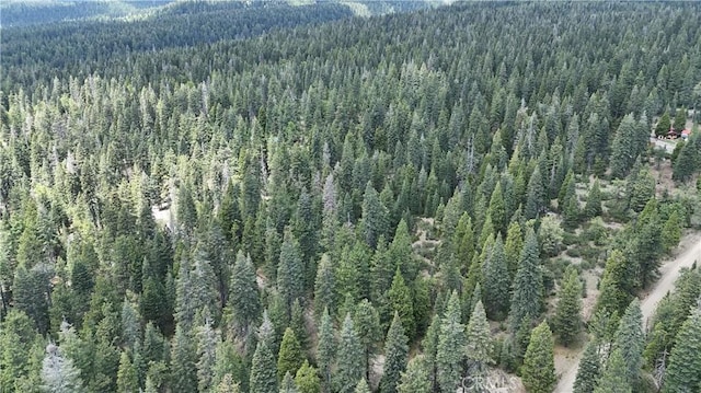 0 Fumarole Ct, Mccloud, CA 96057
