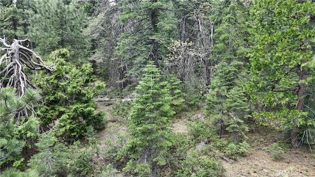 0 Fumarole Ct, Mccloud, CA 96057