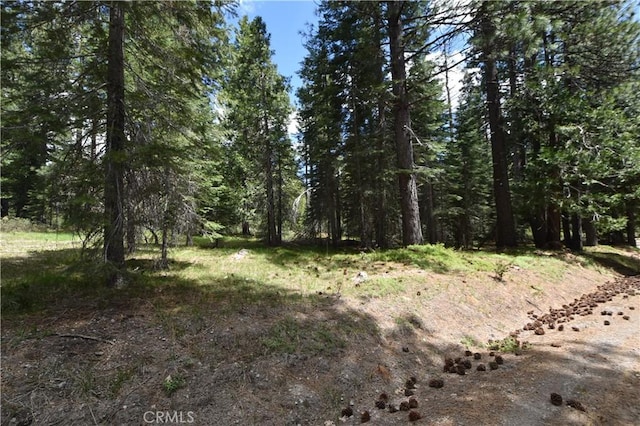 0 Fumarole Ct, Mccloud, CA 96057