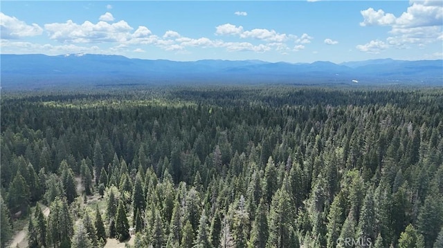 0 Fumarole Ct, Mccloud, CA 96057