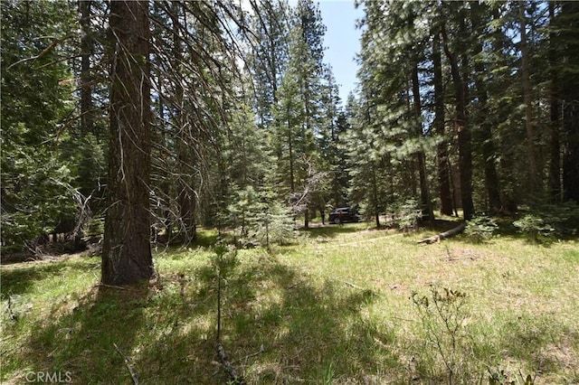 0 Fumarole Ct, Mccloud, CA 96057