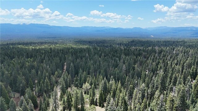 0 Fumarole Ct, Mccloud, CA 96057