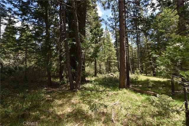 0 Fumarole Ct, Mccloud, CA 96057