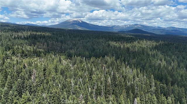 0 Fumarole Ct, Mccloud, CA 96057