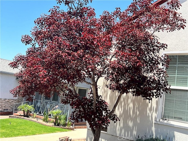 1923 W 115th St, Los Angeles, CA 90047 - view of side of home featuring stucco siding and a yard