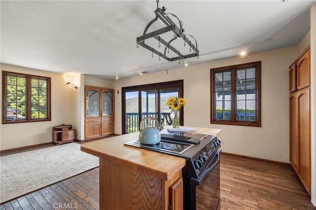 335 Rainbow Crest Rd, Fallbrook, CA 92028 - kitchen featuring black electric range oven, wood counters, baseboards, dark wood-style flooring, and rail lighting