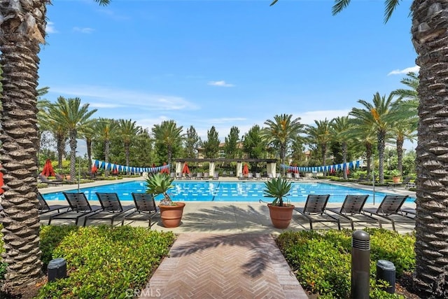 156 Barrow, Irvine, CA 92620 - community pool with a patio area