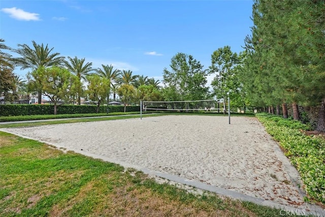 156 Barrow, Irvine, CA 92620 - view of community featuring volleyball court and a yard