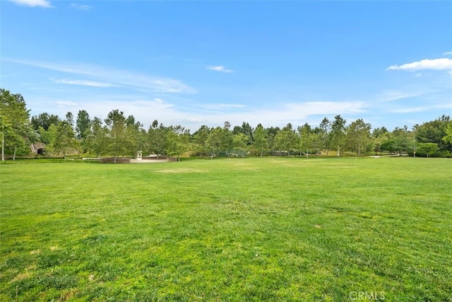 156 Barrow, Irvine, CA 92620 - view of green lawn
