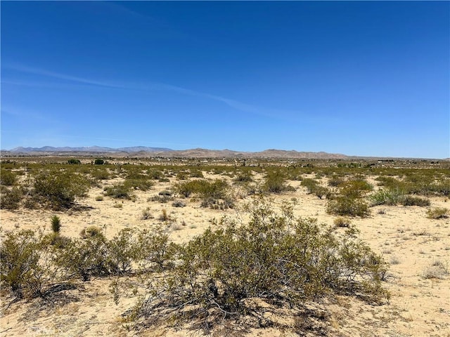 0 Amargo Rd, Landers, CA 92285