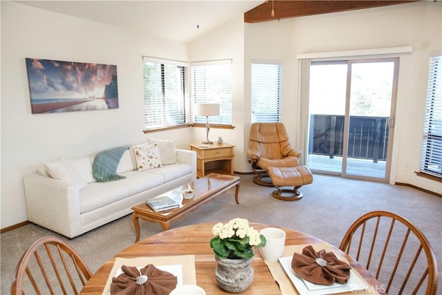 2441 Alban Pl, Cambria, CA 93428 - photo 22