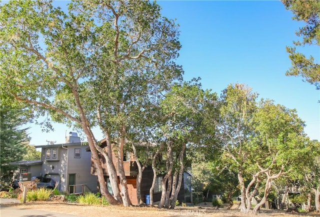 2441 Alban Pl, Cambria, CA 93428 - photo 48