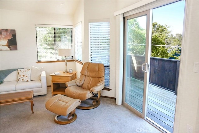 2441 Alban Pl, Cambria, CA 93428 - photo 27