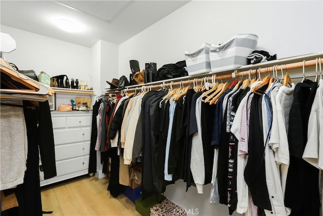 2294 Pacific Ave, Costa Mesa, CA 92627 - spacious closet with light wood-type flooring