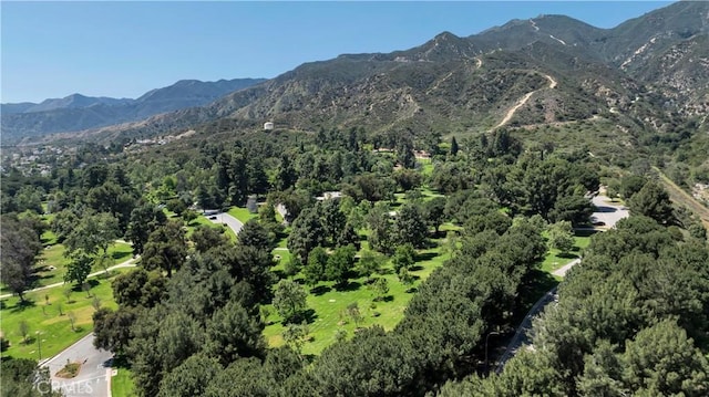 13909 Mountain View Pl, Sylmar, CA 91342 - mountain view with a heavily wooded area