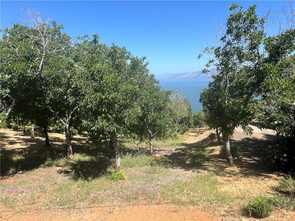 3031 Westridge Dr, Kelseyville, CA 95451 - photo 1