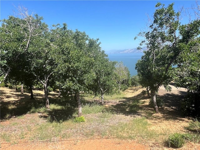 3031 Westridge Dr, Kelseyville, CA 95451 - photo 1
