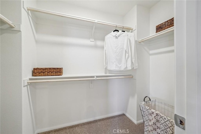 16183 Lumia Way, Fontana, CA 92336 - walk in closet with carpet floors
