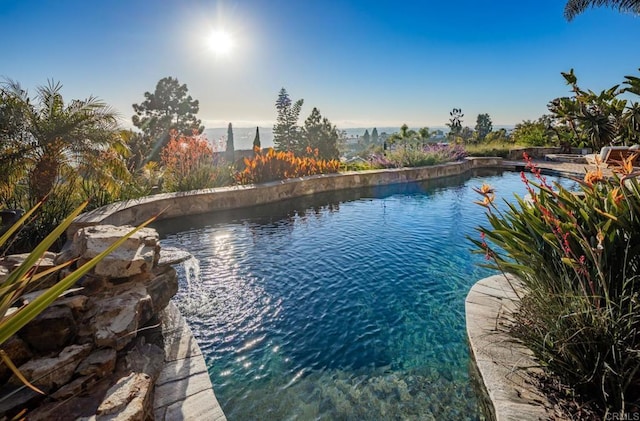 7133 Obelisco Cir, Carlsbad, CA 92009 - view of swimming pool