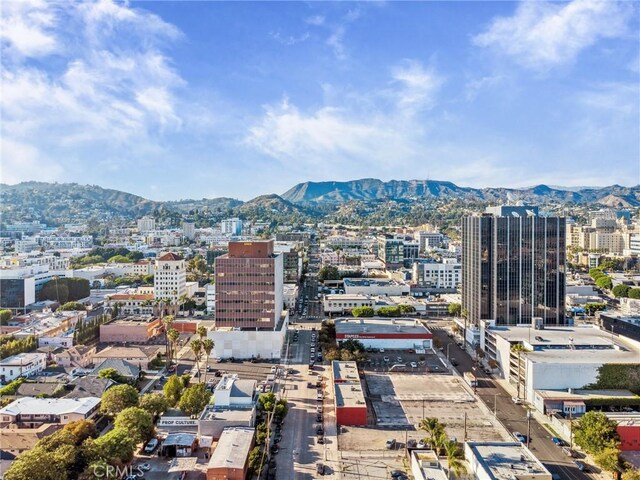 6521 Homewood Ave, Los Angeles, CA 90028 - photo 68